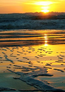 Теодора Стефчева: Морска пяна